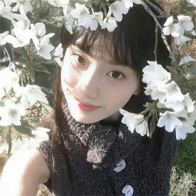 加菲猫和他的朋友们第六季